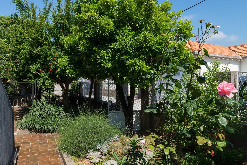 Apartment Veve Dubrovnik Exterior photo